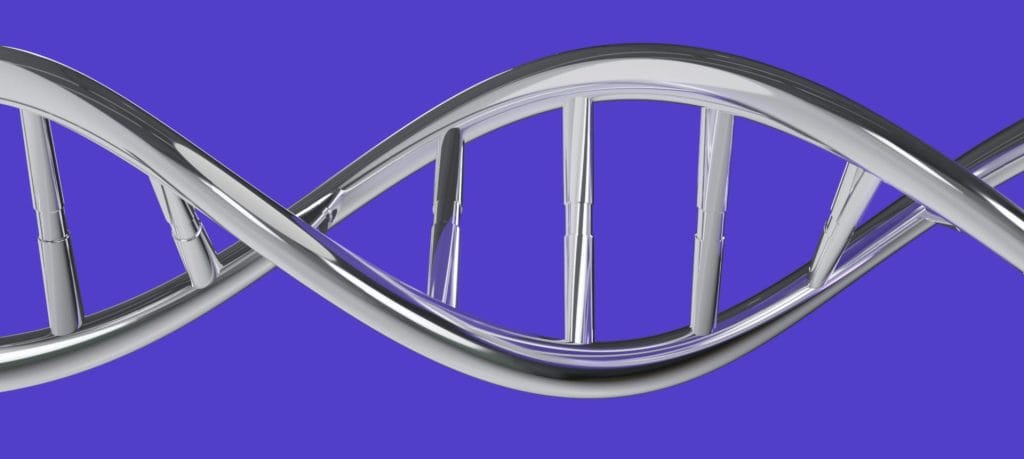 dna-modello-3d